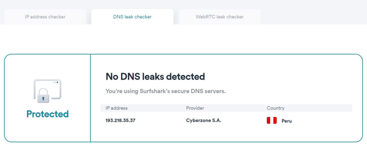 Surfshark DNS leak checker